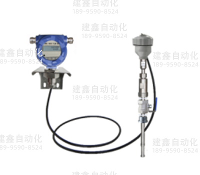 插入式熱式氣體質(zhì)量流量計(jì)